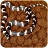4669-repti-zoo-carpet-mat-pod-61.jpg.webp