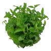 4862-3-4-895.png.webp