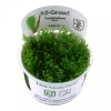 5009-003g-tc-1-2.png.webp