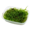 5015-2-2-194.png.webp