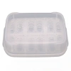 5044-terrario-eggincubator-in-1.jpg.webp
