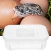 5044-terrario-eggincubator-in-3.jpg.webp