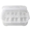 5044-terrario-eggincubator-in.jpg.webp