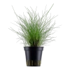 5138-2-1-845.png.webp
