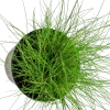 5138-3-1-85.png.webp
