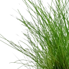 5138-4-1-70.png.webp