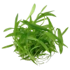 5270-3-1-88.png.webp