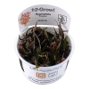 5317-2-1-1-9.png.webp