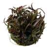 5317-3-89311.png.webp