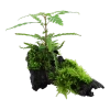 5320-2-114181.png.webp