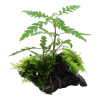 5320-3-89315.png.webp