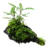 5320-4-78177.png.webp