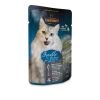 5652-leonardo-pouches-forelle.png.webp