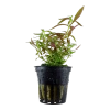 5661-2-10-598.png.webp