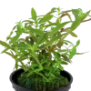 5661-3-9-24.png.webp