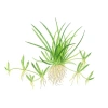 5662-1-6-343.jpg.webp