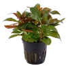 5666-035a-4.png.webp