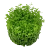 5671-3-2-444.png.webp