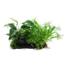 5677-2-1-855.png.webp