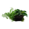 5677-3-1-96.png.webp