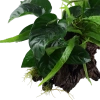 5677-4-1-72.png.webp