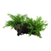 5682-2-1-859.png.webp