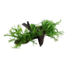 5682-3-1-98.png.webp