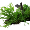 5682-4-78194.png.webp