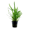 5683-2-1-857.png.webp