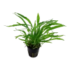 5683-3-89378.png.webp