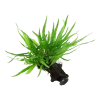 5684-2-114221.png.webp