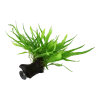 5684-3-89377.png.webp