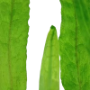 5684-4-1-73.png.webp