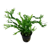 5685-3-1-1-2.png.webp