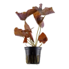 5701-2-3-84.png.webp