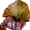 5701-3-3-31.png.webp