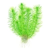 5916-1-13-118.jpg.webp