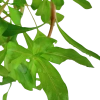 6087-033b-2-2.png.webp