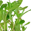 6087-033b-3-2.png.webp