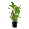 6087-033b-5.png.webp