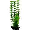 6096-csm-tr30044-9631-ambulia-s-50cd79f463.png.webp
