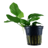 6103-2-1-843.png.webp