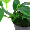 6103-3-3-26.png.webp