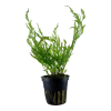 6432-2-3-79.png.webp