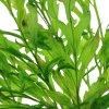 6432-3-2-438.png.webp