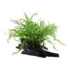6435-2-2-185.png.webp
