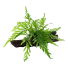 6435-3-1-77.png.webp