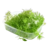 6443-3-8-613.png.webp