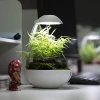 6530-chihiros-tiny-terrarium-egg.jpg.webp