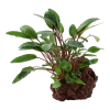 6558-3-1-78.png.webp